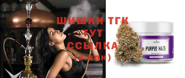 меф Пересвет