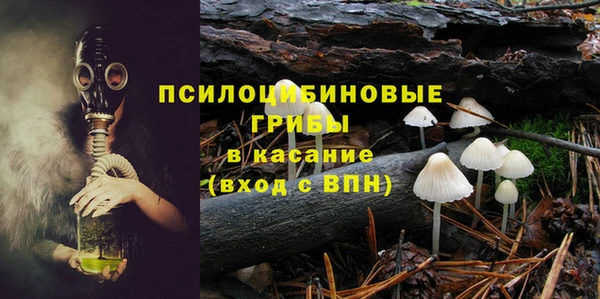 СК Осташков