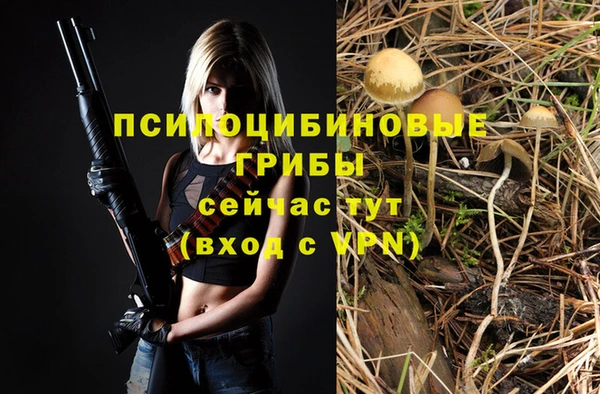 круглые Пестово