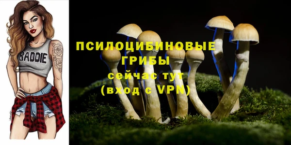 метадон Переславль-Залесский