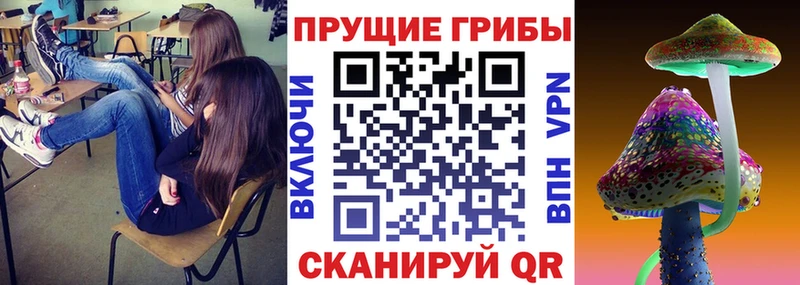 Псилоцибиновые грибы Psilocybine cubensis  гидра ссылки  Богучар 
